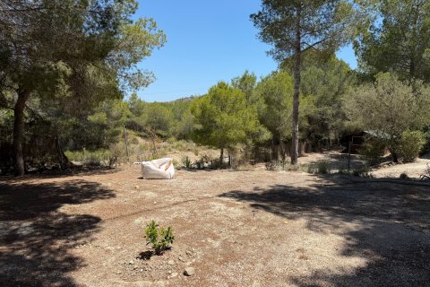 Finca pārdošanā Orihuela, Alicante, Spānijā 2 istabas, 100 m2 Nr. 189521 - attēls 18