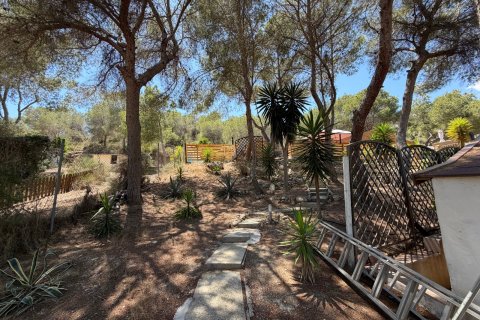 Finca pārdošanā Orihuela, Alicante, Spānijā 2 istabas, 100 m2 Nr. 189521 - attēls 20