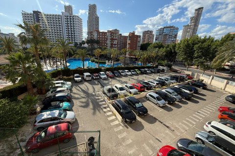 Apartamento en venta en Benidorm, Alicante, España 1 dormitorio, 50 m2 No. 189524 - foto 16