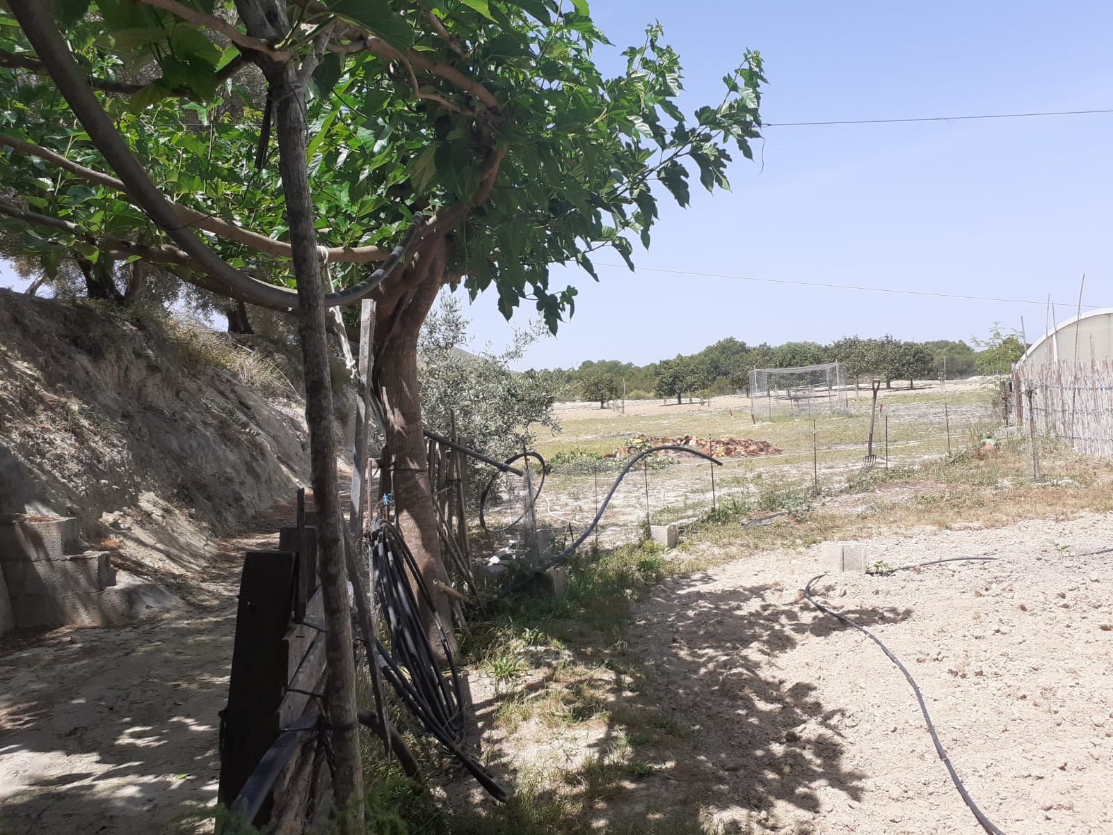 Villa in Rojales, Alicante, Spain 3 bedrooms, 77 sq.m. No. 80148