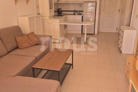 Продажа квартиры в Коста-дель-Силенсио, Тенерифе, Испания 1 спальня, 45м2 №144313 - фото 3