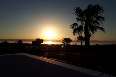 Villa pārdošanā Torrevieja, Alicante, Spānijā 6 istabas, 390 m2 Nr. 115534 - attēls 19