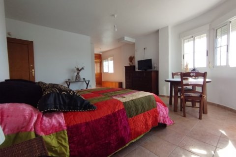 Villa pārdošanā Torrevieja, Alicante, Spānijā 6 istabas, 390 m2 Nr. 115534 - attēls 30