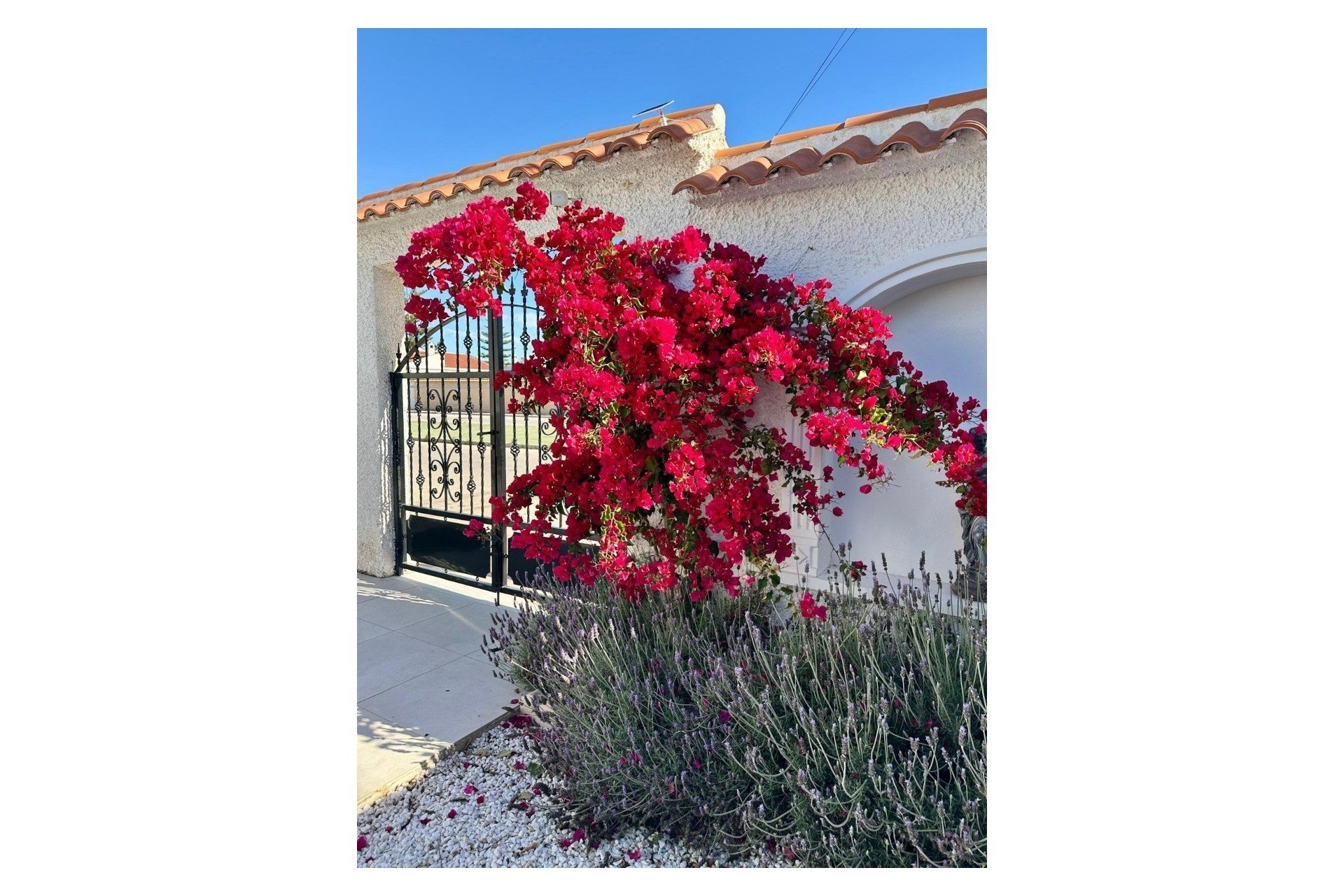 Вилла в Торревьеха, Аликанте, Испания 3 спальни, 151м2 №147553