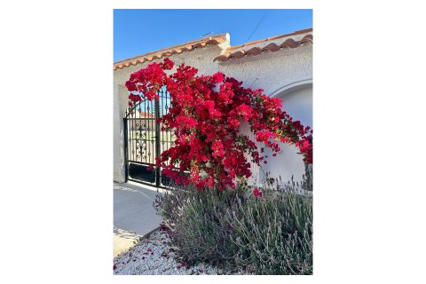 Villa zum Verkauf in Torrevieja, Alicante, Spanien 3 Schlafzimmer, 151 m2 Nr. 147553 - Foto 22