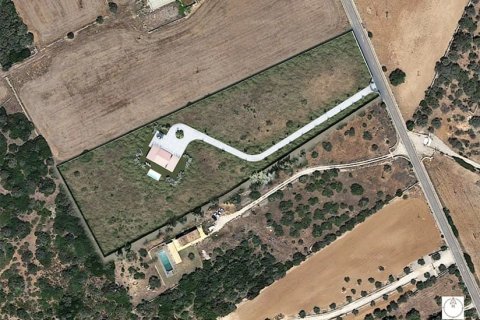 Villa à vendre à Campos, Mallorca, Espagne, 254 m2 No. 143972 - photo 19