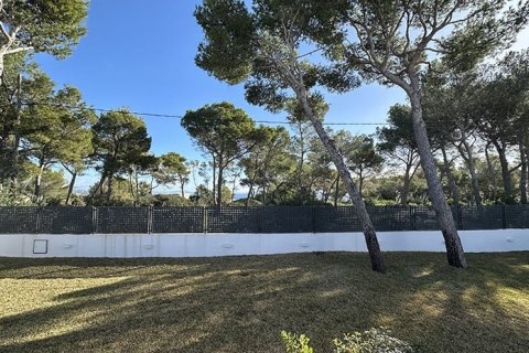 Villa à vendre à Mallorca, Espagne, 5 chambres, 255 m2 No. 143973 - photo 20