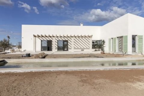 Villa à vendre à Campos, Mallorca, Espagne, 3 chambres, 480 m2 No. 143977 - photo 8