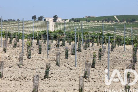 Proprietà commerciale in vendita a Jerez de la Frontera, Cadiz, Spagna N° 172884 - foto 4