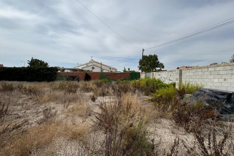 Działka Campoamor, Alicante, Hiszpania 135 mkw. nr 109155 – zdjęcie 2
