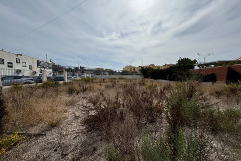 Działka Campoamor, Alicante, Hiszpania 135 mkw. nr 109155 – zdjęcie 1
