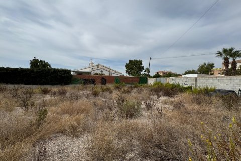 Działka Campoamor, Alicante, Hiszpania 135 mkw. nr 109155 – zdjęcie 7
