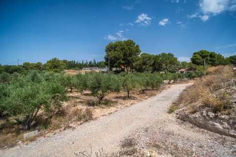 Villa for sale in Murcia, Spain 1 bedroom, 85 sq.m. No. 194578 - photo 23