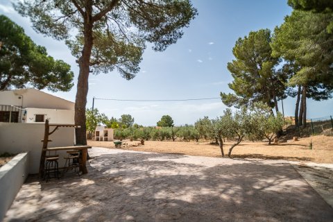 Villa for sale in Murcia, Spain 1 bedroom, 85 sq.m. No. 194578 - photo 21