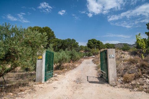 Villa for sale in Murcia, Spain 1 bedroom, 85 sq.m. No. 194578 - photo 24