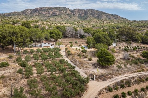 Villa for sale in Murcia, Spain 1 bedroom, 85 sq.m. No. 194578 - photo 2