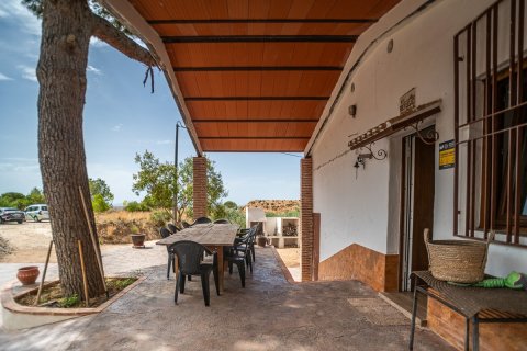 Villa for sale in Murcia, Spain 1 bedroom, 85 sq.m. No. 194578 - photo 5