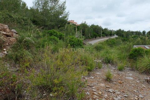 Tontti myytävänä Olivella, Barcelona, Espanja ,  No. 186727 - kuva 4