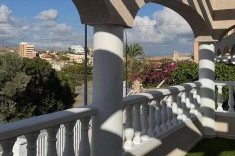 Apartment à vendre El Campello, Alicante, Espagne, 3 chambres, 246 m2 No. 139173 - photo 5