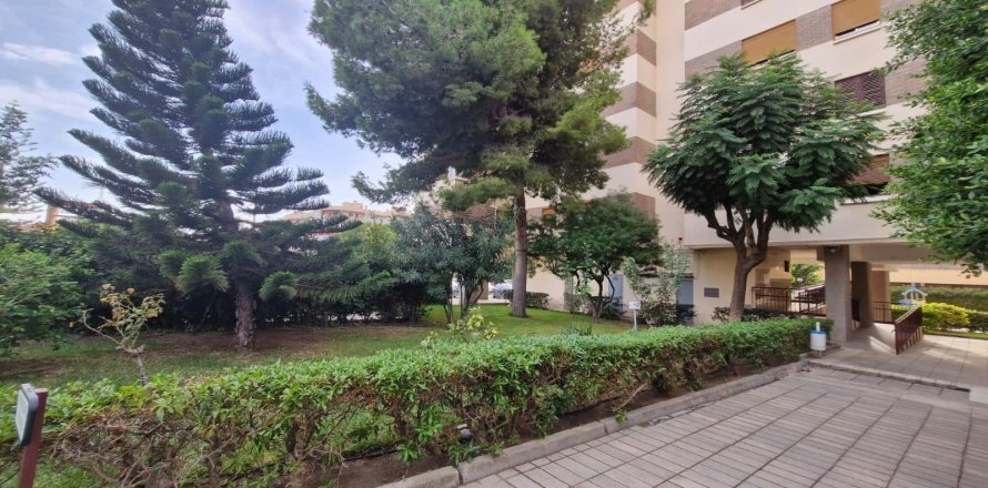 Apartment Alicante, Espagne 2 chambres, 112 m2 No. 139168