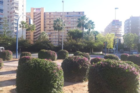 Appartamento in vendita a San Juan, Alicante, Spagna 3 camere da letto,  N° 151380 - foto 9