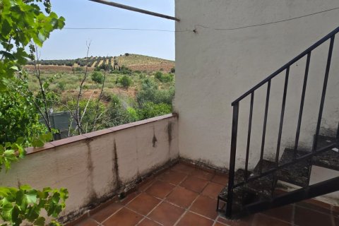 Komerciāls īpašums pārdošanā Toledo, Spānijā 313 m2 Nr. 187907 - attēls 30