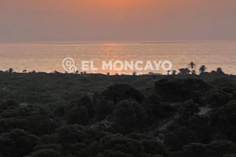 House à vendre à Guardamar del Segura, Alicante, Espagne, 3 chambres, 133 m2 No. 148913 - photo 14