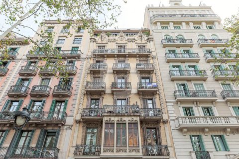Commercial property à Ciutat Vella, Barcelona, Espagne 580 m2 No. 151956