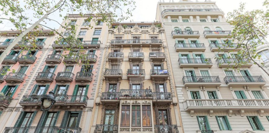 Коммерческая недвижимость в Старый город, Барселона, Испания 580м2 №151956