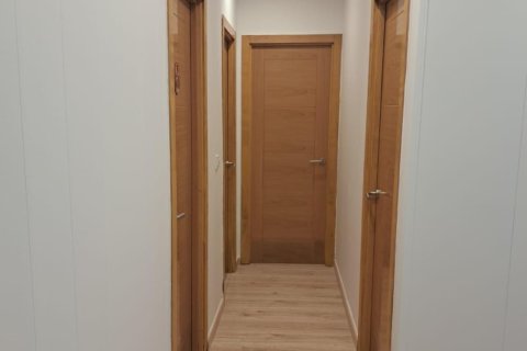 Villa in vendita a Los Desamparados, Alicante, Spagna 5 camere da letto, 12000 mq. N° 142500 - foto 12