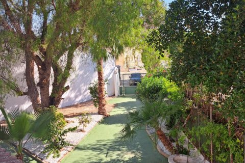 Villa in vendita a Los Desamparados, Alicante, Spagna 5 camere da letto, 12000 mq. N° 142500 - foto 26