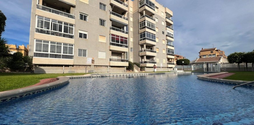 Appartamento a Torrevieja, Alicante, Spagna 2 camere da letto, 68 mq. N° 155613