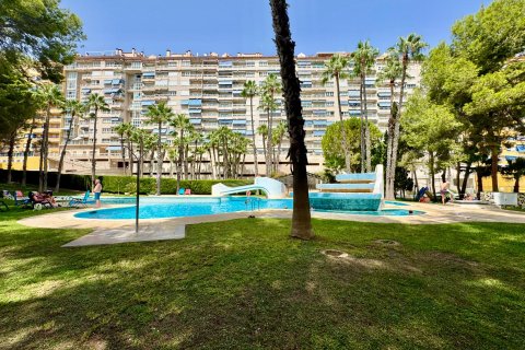 Apartamento en venta en Dehesa De Campoamor, Alicante, España 2 dormitorios, 55 m2 No. 194987 - foto 25
