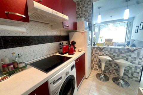 Appartamento in affitto a Alicante, Spagna 1 camera da letto, 48 mq. N° 146806 - foto 13