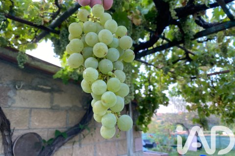 Talo myytävänä Sentmenat, Barcelona, Espanja, 5 makuuhuonetta, 152 m2 No. 152529 - kuva 21