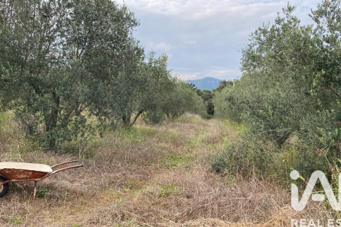 Talo myytävänä Sentmenat, Barcelona, Espanja, 5 makuuhuonetta, 152 m2 No. 152529 - kuva 20