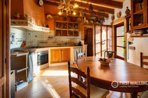 Villa zur Miete in Estellencs, Mallorca, Spanien 3 Schlafzimmer, 159 m2 Nr. 190530 - Foto 19