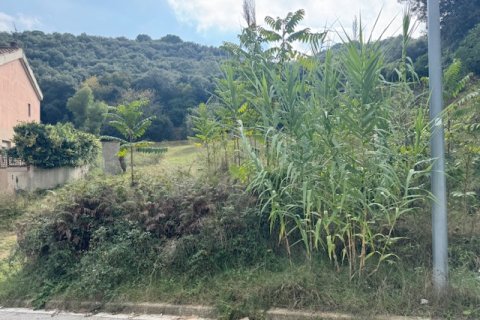 Terreno in vendita a Arenys de Munt, Barcelona, Spagna N° 191430 - foto 5