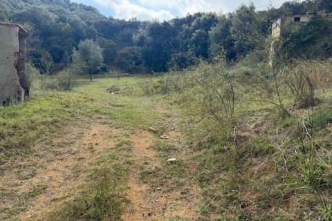 Terreno in vendita a Arenys de Munt, Barcelona, Spagna N° 191430 - foto 7