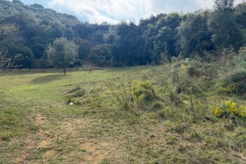 Terreno in vendita a Arenys de Munt, Barcelona, Spagna N° 191430 - foto 11