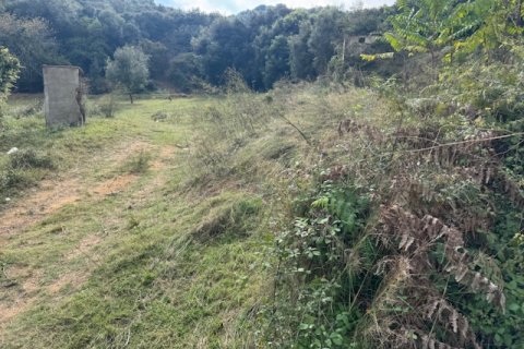 Terreno in vendita a Arenys de Munt, Barcelona, Spagna N° 191430 - foto 6