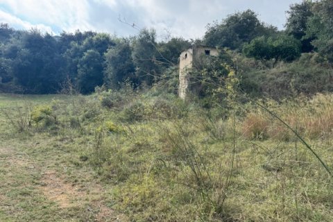 Terreno in vendita a Arenys de Munt, Barcelona, Spagna N° 191430 - foto 9
