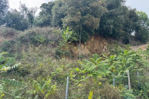 Terreno in vendita a Arenys de Munt, Barcelona, Spagna N° 191430 - foto 14