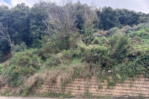Terreno in vendita a Arenys de Munt, Barcelona, Spagna N° 191430 - foto 22