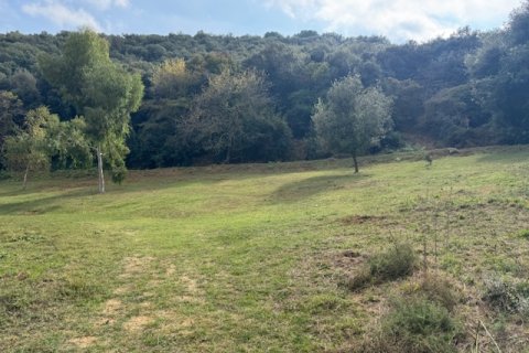 Terreno in vendita a Arenys de Munt, Barcelona, Spagna N° 191430 - foto 12