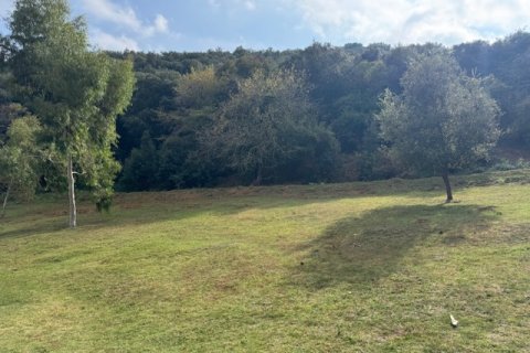 Terreno in vendita a Arenys de Munt, Barcelona, Spagna N° 191430 - foto 15