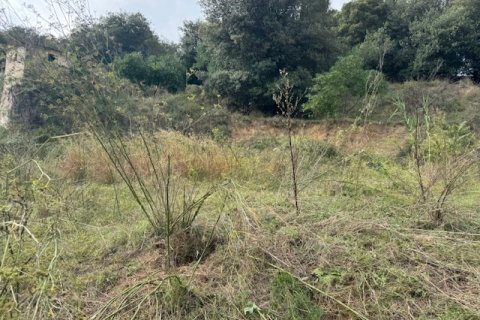 Terreno in vendita a Arenys de Munt, Barcelona, Spagna N° 191430 - foto 8