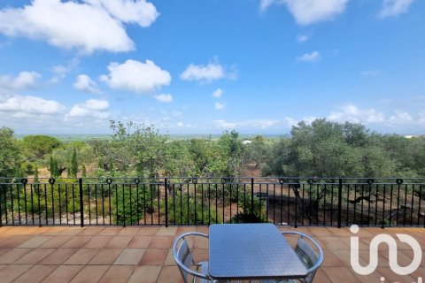 House for sale in Sant Carles De La Rapita, Tarragona, Spain 2 bedrooms, 168 sq.m. No. 153274 - photo 30
