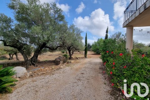 House for sale in Sant Carles De La Rapita, Tarragona, Spain 2 bedrooms, 168 sq.m. No. 153274 - photo 4