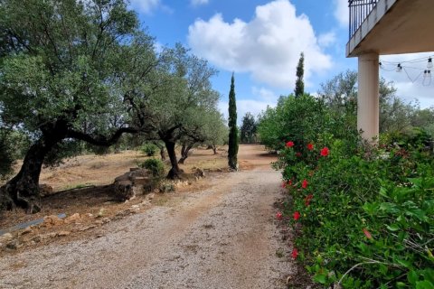 House for sale in Sant Carles De La Rapita, Tarragona, Spain 2 bedrooms, 168 sq.m. No. 153274 - photo 25